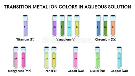 Ions Aqueous Solution Stock Illustrations 6 Ions Aqueous Solution Stock Illustrations Vectors