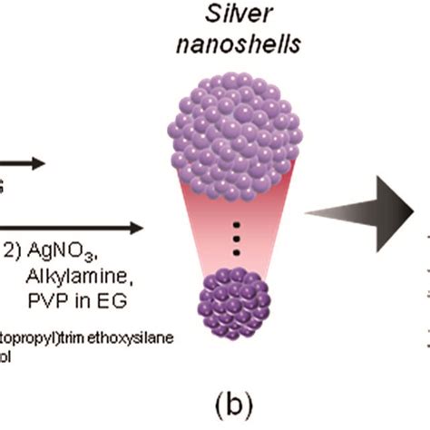 Schematic Illustration For The Investigation Of The Size Dependent