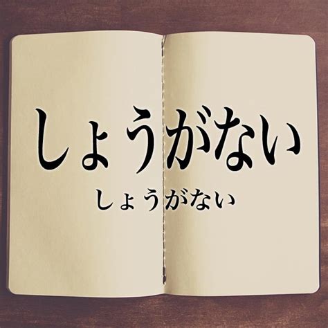 「しょうがない」とは？意味や使い方！例文や解釈 Meaning Book