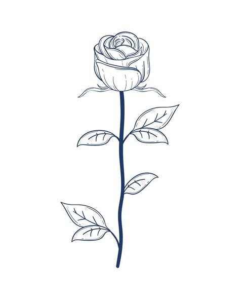 rose flower garden sketch 16927142 Vector Art at Vecteezy