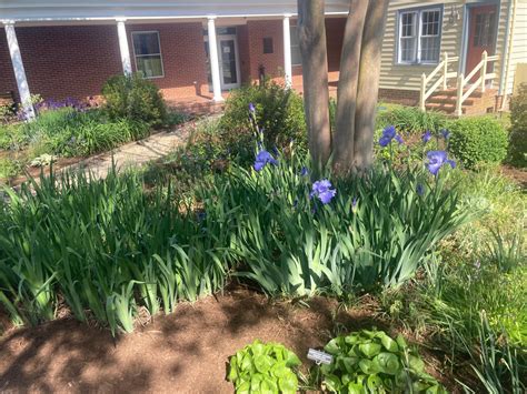 Eastville Inn Demonstration Garden | Eastern Shore Virginia Master