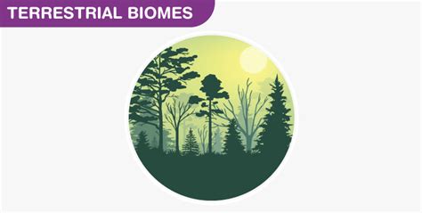 The Major Biomes of the World - Terrestrial and Aquatic biomes