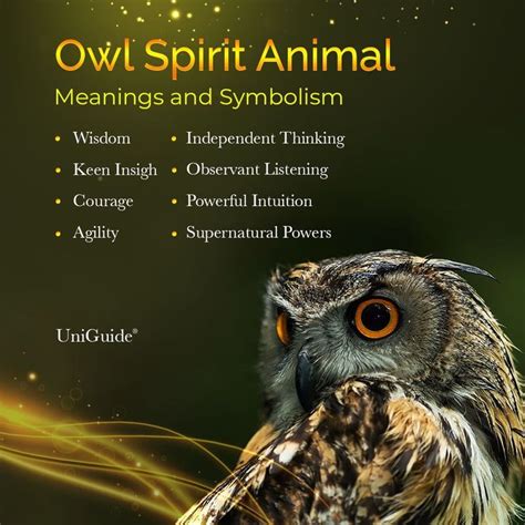 Owl Symbolism And Meaning And The Owl Spirit Animal Animal Totem Spirit