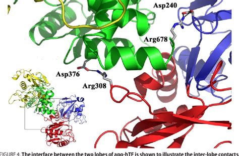 Figure 4 from The Crystal Structure of Iron-free Human Serum ...