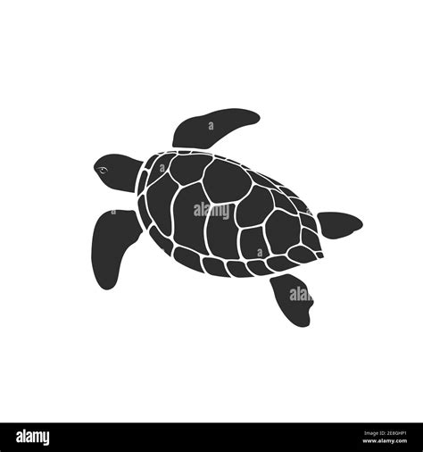 Turtle Vector Vectors High Resolution Stock Photography And Images Alamy