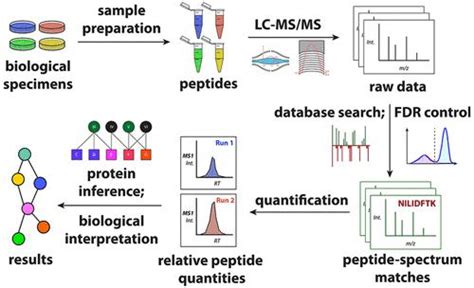 基于质谱的蛋白质组学简介 Journal of Proteome Research X MOL