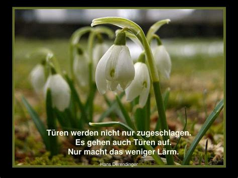 PPT FRÜHLING PowerPoint Presentation free download ID 1311221