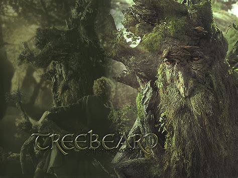 Ents Ent Treebeard wallpaper images - Minas Tirith - Lord of the Rings