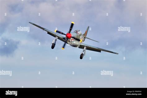 P 51 mustang shark mouth hi-res stock photography and images - Alamy