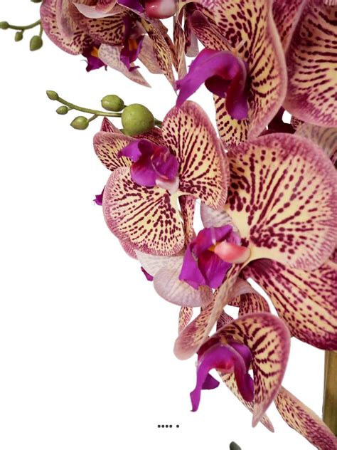 Orchid E Phalaenopsis Artificielle En Pot Hampes Toucher R El