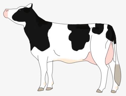 Beef Vector Hereford Cow - Hereford Cattle Clipart , Free Transparent ...