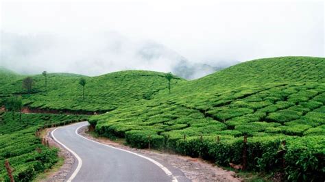 Munnar To Thekkady India’s Most Scenic Road Trip Iris Holidays