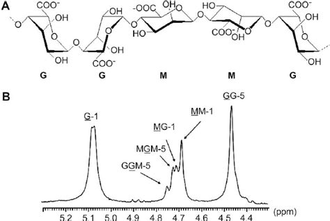 Structure Of Alginate A B D Mannuronic Acid M And A L Download Scientific Diagram