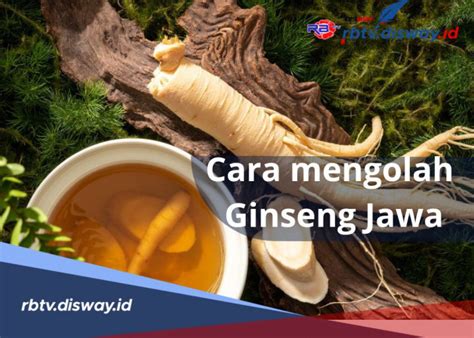 7 Manfaat Ginseng Untuk Wanita Selain Mengurangi Stres Dan Ini Cara