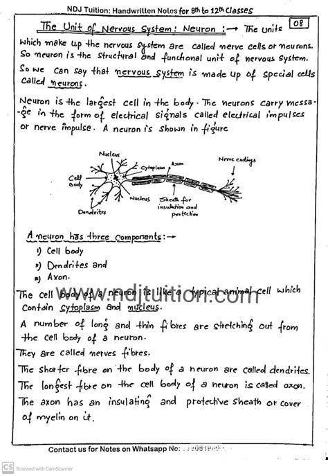 Control And Coordination Handwritten Notes For Class Th Handwritten