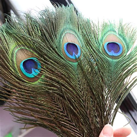 Natural Peacock Eye Feathers Are Approximately 25 35 Inches Etsy