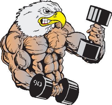 Muscle Eagle Clip Art Library