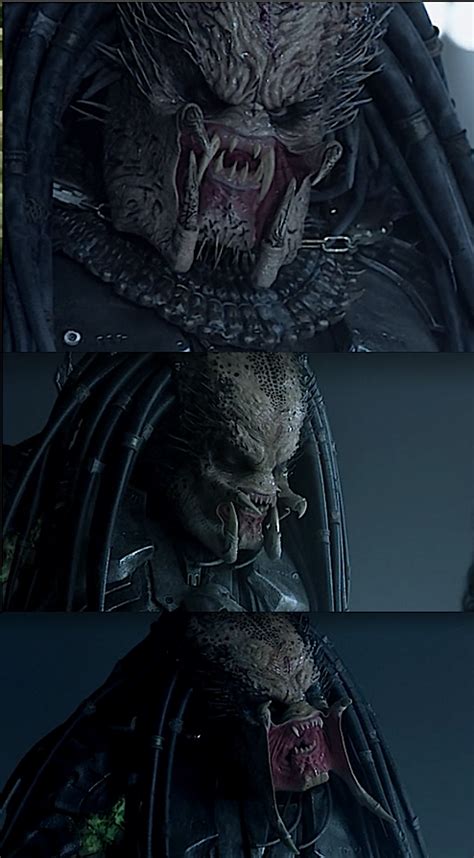 Aliens Vs Predator Predator Face