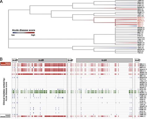 Comparative Analysis Of C Difficile Pathogenicity Loci A