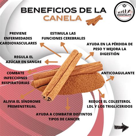 Canela Propiedades Y Beneficios Para La Salud