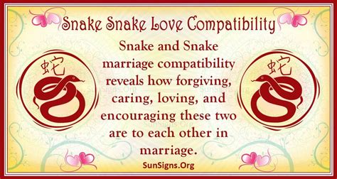 Snake And Snake Compatibility: A True Bond - SunSigns.Org