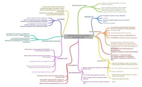 Pneumoviridae Virus Sincitial Respiratorio Rsv CaracterÍsticas
