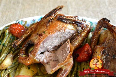 Recette Pigeon Au Four Basse Temp Rature Aydinevylyn