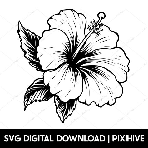 Hibiscus Svg Hawaii Svg Hawaiian Flower Svg Hibiscus Flower Svg