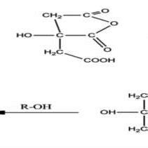 Reacción termodinámica entre el ácido cítrico con los grupos hidroxilos