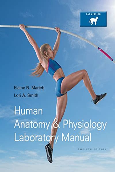 Human Anatomy Physiology Laboratory Manual Cat Version Pdf Elaine N