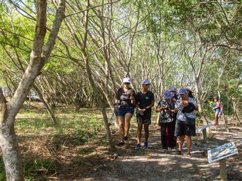 Conhe A O Conceito Das Exposi Es Fixas Do Centro De Visita O Do