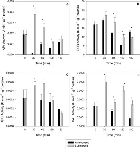 Antioxidant Enzymatic Activities In Air Exposed And Submerged Leaves Of