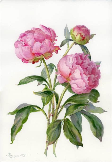 Three peonies Painting by Yulia Krasnov | Saatchi Art