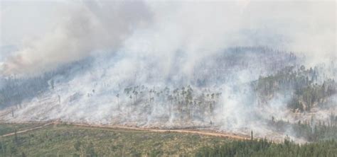 Canada Wildfires Have Burned Over 10 Mn Hectares This Year Figures