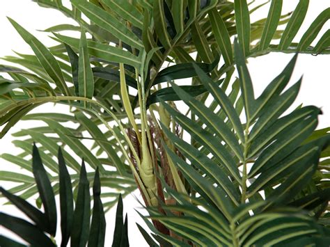 Palmier De Montagne Plante Artificielle Cm Europalms