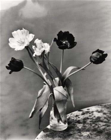 Flower Par Nobuyoshi Araki Sur Artnet