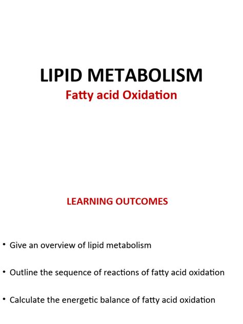 Lipid Metabolism Lecture 1 Notes Fatty Acid Oxidation2024 Pdf