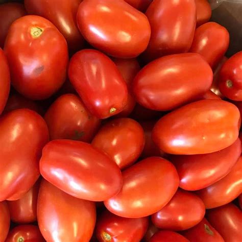 Roma Tomatoes Mclean And Buckhorn Berry Farms