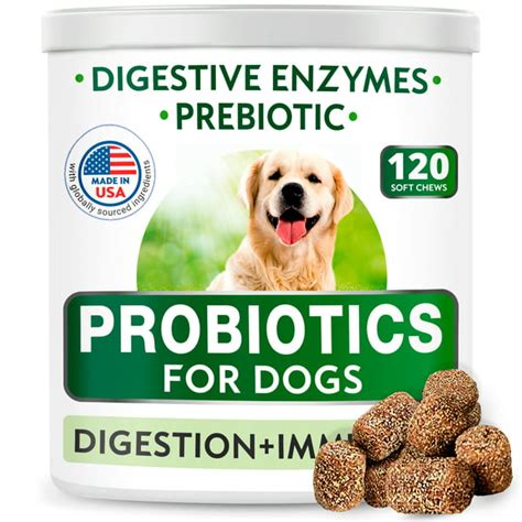 Dog Probiotics Chews - Gas, Diarrhea, Allergy, Constipation, Upset Stomach Relief, with ...