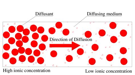 Concept Of Diffusion Laws Of Diffusion Steady State Diffusion