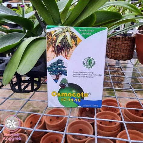 Jual Osmocote Dekastar Gram Pupuk Bonsai Dan Tanaman Hias