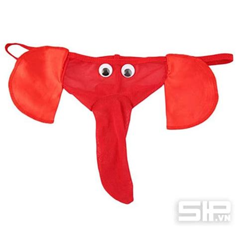 quan sip  voi  dang yeu sip nam dinh cao chat luong