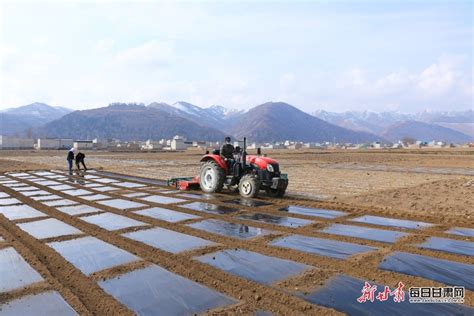 武威岷县：机声隆隆响 春播正当时 国际在线