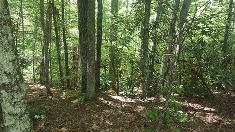 8 Unrestricted Acres In Cocke County Tn Intrist Properties