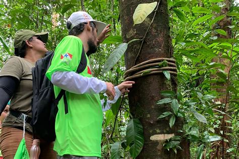 Ideflor Bio Promove Trilha Sensorial Inclusiva No Parque Estadual Do