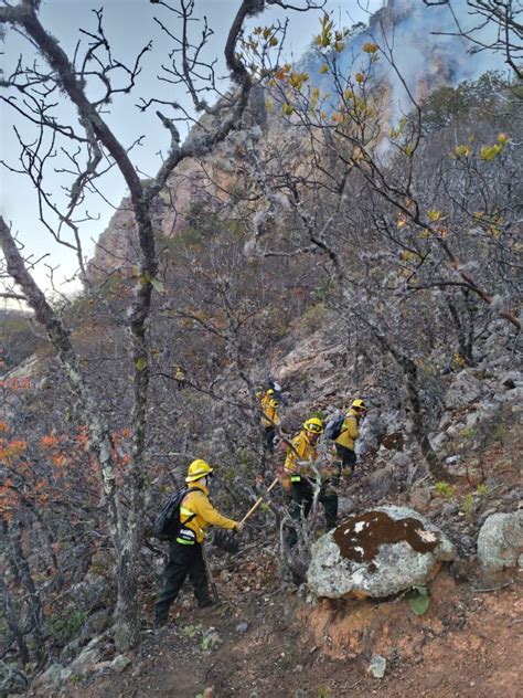 Emergencia Ecol Gica Por El Incendio En Sierra De Santa Rosa El P Pila