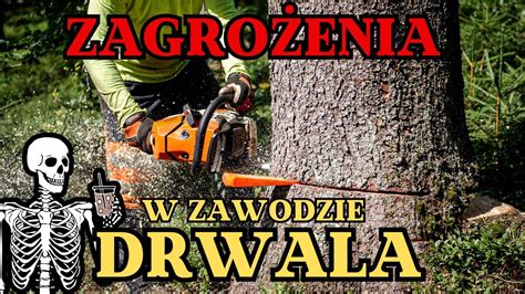 Zagrożenia w zawodzie DRWALA Okiem ZULa YouTube