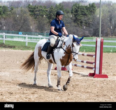 Woman riding paint horse in jumping ring at local horse school show ...