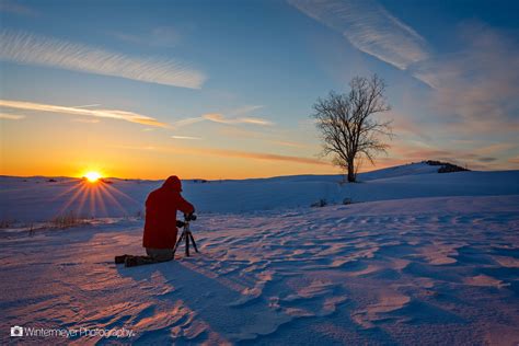 Snowy Tree Silhouette - Wintermeyer Photography