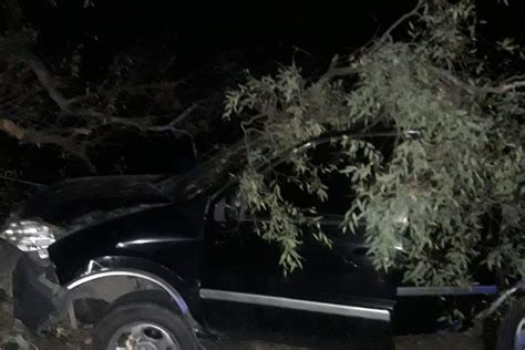 Cayó un árbol de gran porte en la ruta y dos autos lo chocaron Monterizos